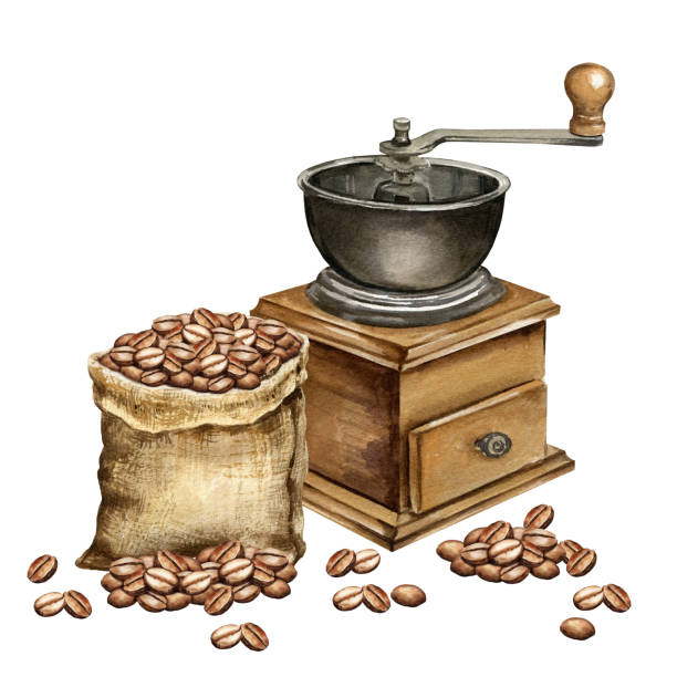 ilustrações, clipart, desenhos animados e ícones de saco de aquarela com grãos de café, ilustração do saco de lona cheio com grãos, saco de café marrom texturizado isolado no fundo branco - coffee crop brown bean beige