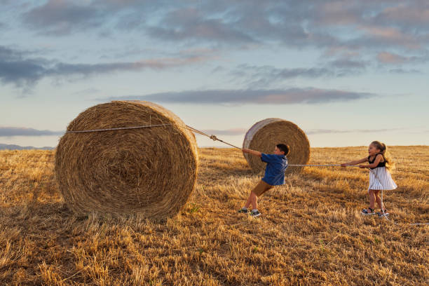 Farmer pushing rolled up hay bales at lawn grass agricultural field