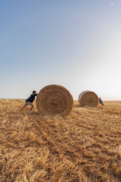istock Boys pushing bale of starw 1500024969