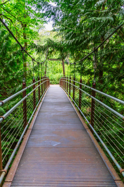 istock Bellevue Suspension Bridge 3 1500027289