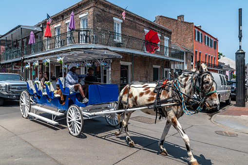 New Orleans, USA. 9 June 2023. People ride a horse drawn carriage in New Orleans