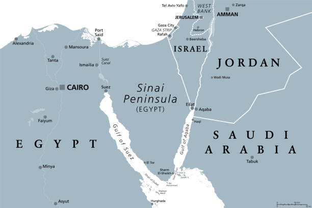 region der sinai-halbinsel, eine kontinentale landbrücke, graue politische karte - gulf of suez stock-grafiken, -clipart, -cartoons und -symbole