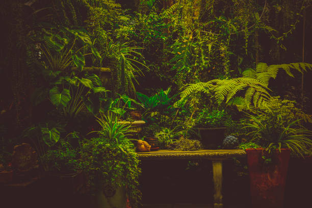 istock A relax corner in the park with stone bench over plant and tree background 1500037322