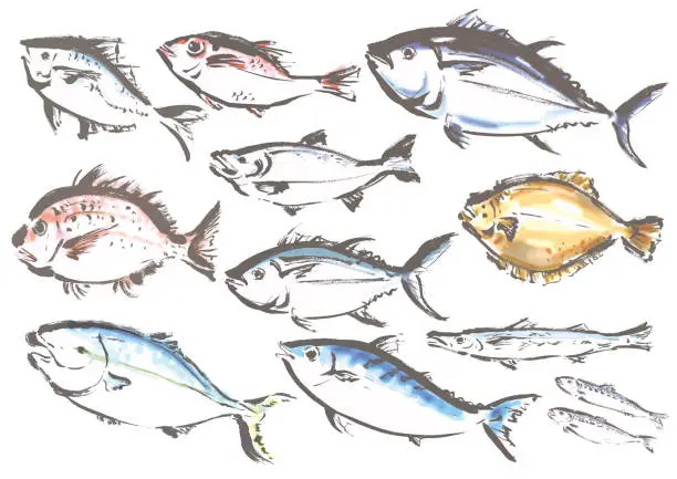 Vector illustration of hand drawn fish set illustration