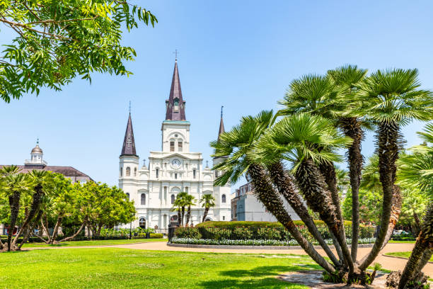istock Plants at St. Louis Cathedral  in New Orleans 1500037610