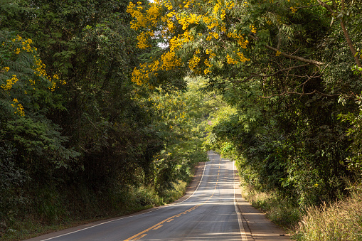 Catalao, Goias, Brazil – June 18, 2023: An asphalted and heavily wooded stretch of the BR-352 highway in Goias.