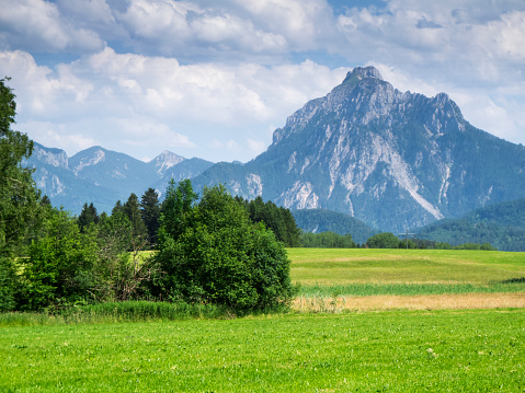 View of a Bavarian landscape with a green meadow, small groups of trees in the foreground and a towering mountain range in the background on the border with Austria.