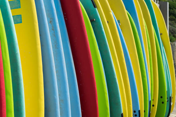 istock Surfboards of all colors lined up 1500056536