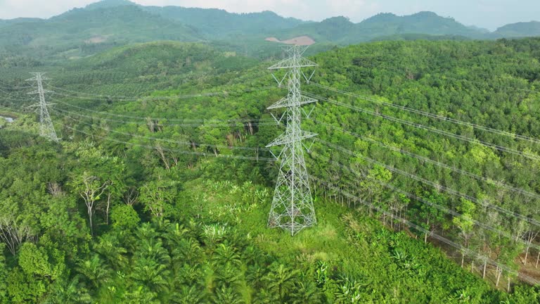 Aerial view of Electricity high voltage pylon and power lines.