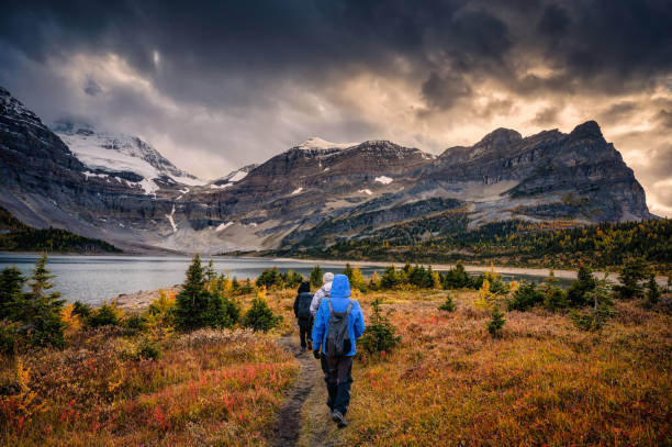 Group of traveler trekking on meadow with moody sky over mount Assiniboine in autumn forest at national park stock photo
