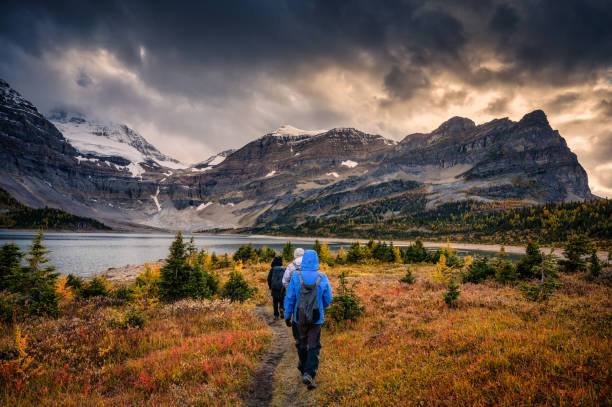 group of traveler trekking on meadow with moody sky over mount assiniboine in autumn forest at national park - passion mountain range mountain national park imagens e fotografias de stock