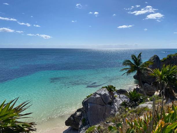 istock Crystal blue waters in Tulum Mexico 1500066367