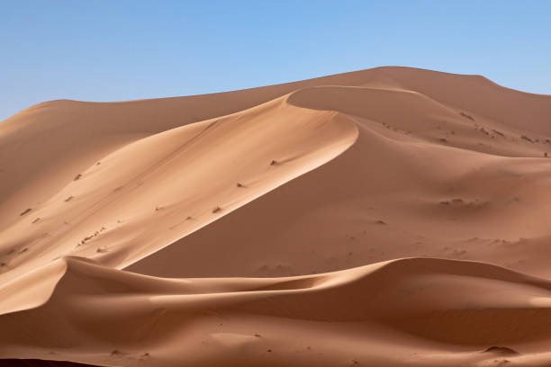 모로코 아프리카 사하라 사막의 일부인 erg chebbi 사막의 그림 같은 모래 언덕 - landscape desert wave pattern erg chebbi dunes 뉴스 사진 이미지