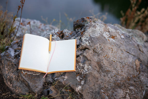 istock the notebook is empty, open on a stone in the forest, the background is blurred by nature 1500068277