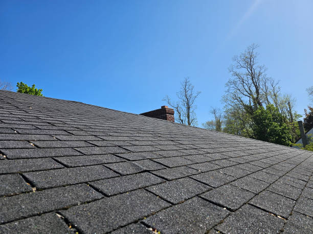 istock Shingled Roof by Chimney 1500073099