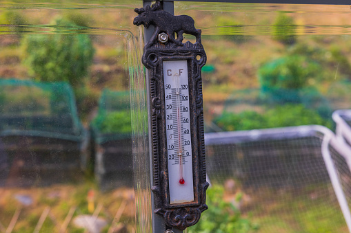 Close up view of thermometer showing air temperature in greenhouse on summer day. Sweden.