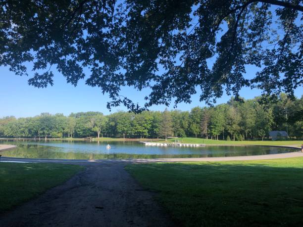 istock Lake at the park surrounded by trees 1500083035