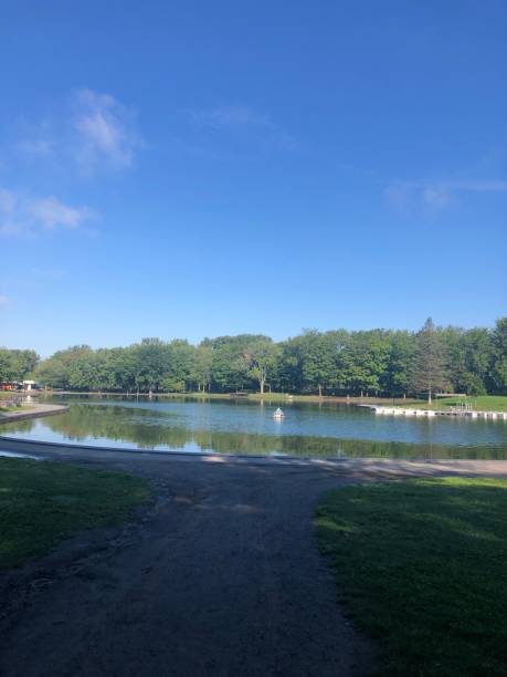 istock Lake at the park surrounded by trees 1500083083