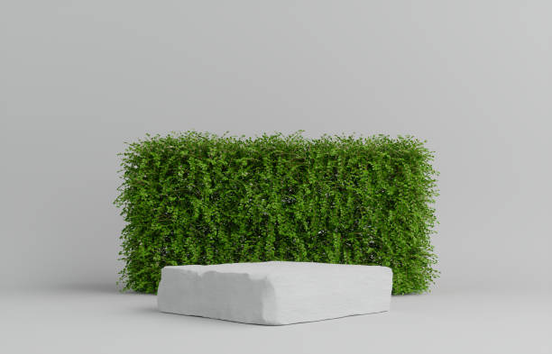 istock Product Podium - White Stone Podium, White Background With Plants. 3D Illustration 1500083989