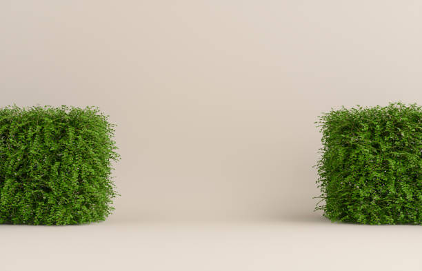 istock Product Podium - Beige Background With Plants. 3D Illustration 1500083994