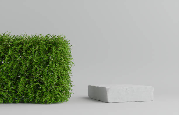 istock Product Podium - White Stone Podium, White Background With Plants. 3D Illustration 1500083996