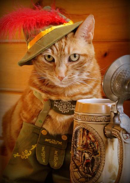 istock Funny Beer Fest Cat 1500084823