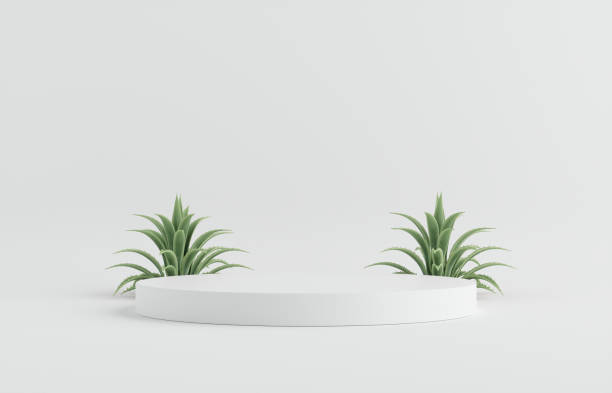 istock Product Podium - White Podium, White Background With Plants. 3D Illustration 1500085688