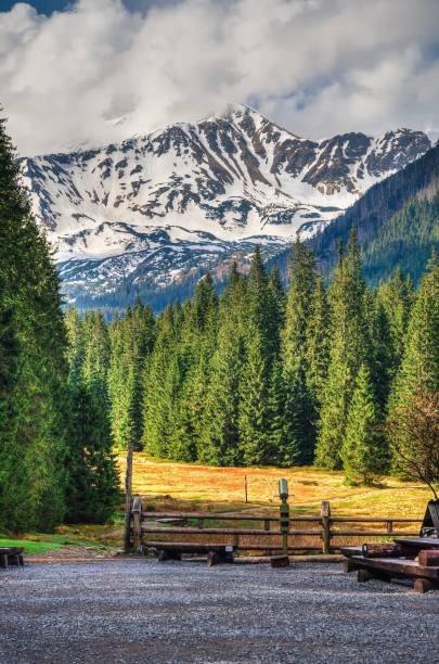 istock Spring mountain landscape in Polish mountains. 1500088743