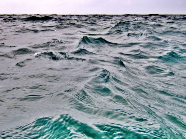 istock Swimming on sea level 1500089745