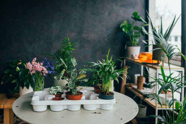 istock A View Of A Florist's Shop 1500089764
