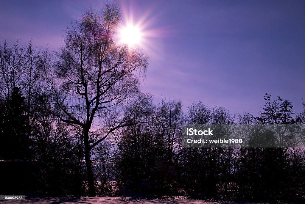 Silhouette von ein paar Bäume in violett Sonne - Lizenzfrei Dunkel Stock-Foto