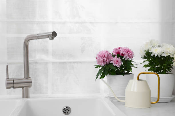 istock Pots with beautiful chrysanthemum and watering can on white countertop in kitchen 1500091283