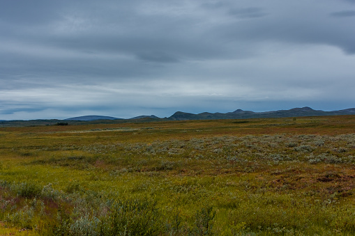 Landscape of the tundra in northern Norway