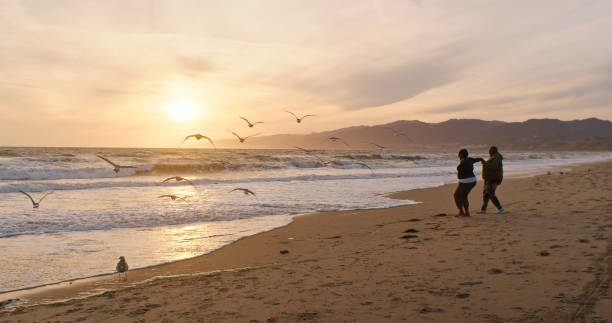wide shot of seagulls flying in front of lesbian couple at sunset - santa monica beach beach california wave imagens e fotografias de stock