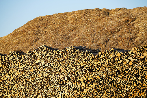 Large pile with logs and wood chips, sustainable renewable heat energy source, logs and wood chips background
