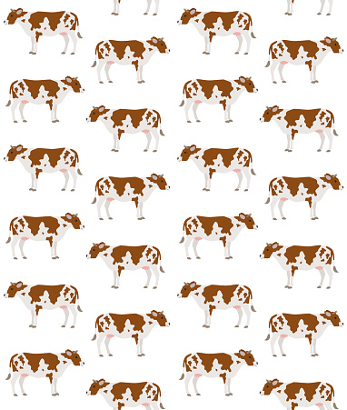 istock Vector seamless pattern of hand drawn flat cow 1500097245
