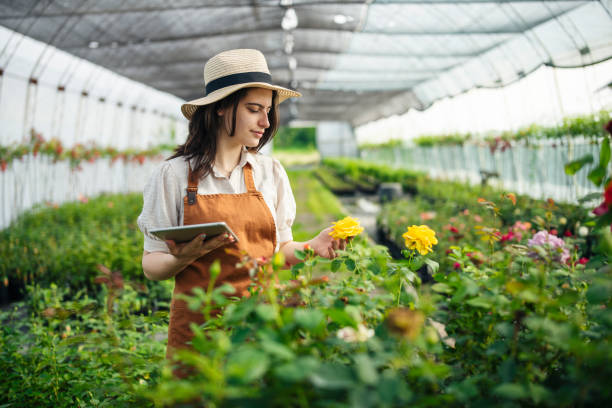 istock Gardener working in greenhouse with technology. 1500098847