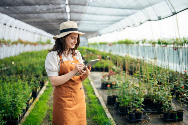 istock Woman working in a garden center and using digital tablet. 1500098852