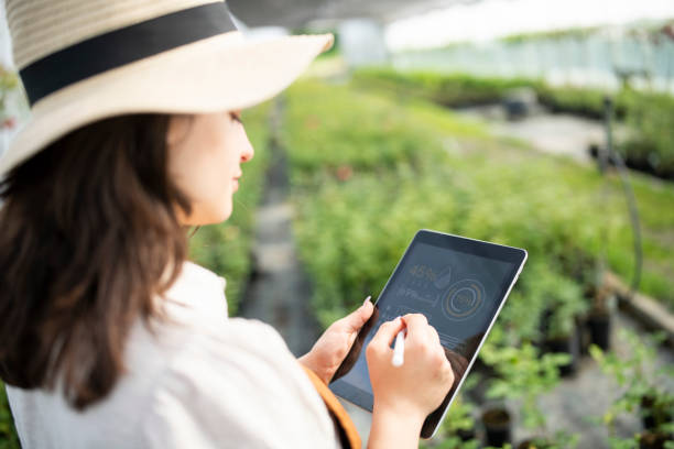istock Garden center owner checking roses and using digital tablet. 1500098858