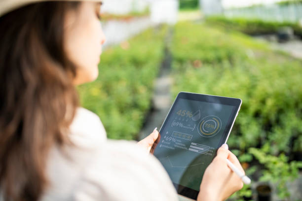istock Garden center owner checking roses and using digital tablet. 1500098859