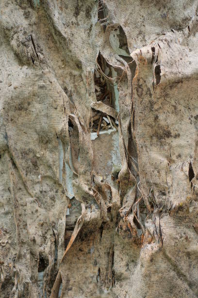 texture from a piece of old gray dirty torn fabric with a hole
