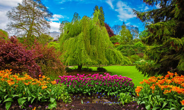 Fragment of  Queen Elizabeth  Park