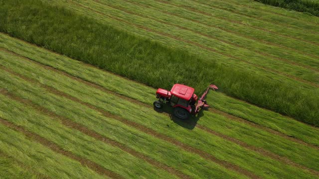 Tractor cutting grass on fresh green field, meadow pasture, mown grass will be dried and turned into hay