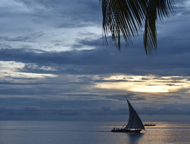 velero dhow swahili navegando a través de una tranquila bahía oceánica al atardecer - blom fotografías e imágenes de stock