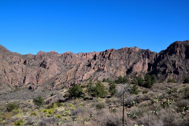 istock Mesmerizing view of Big Bend National Park 1500106616