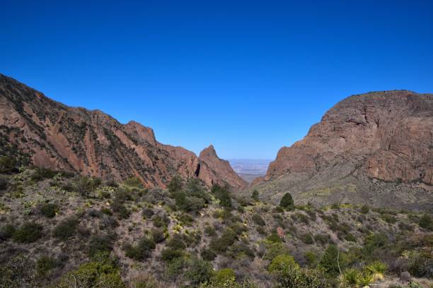 istock Mesmerizing view of Big Bend National Park 1500106617
