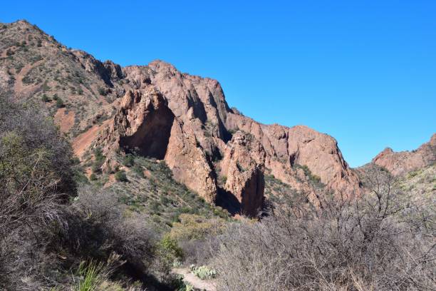 istock Mesmerizing view of Big Bend National Park 1500106633