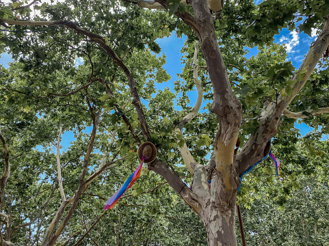 Trees decorated with hats hung with colored ribbons