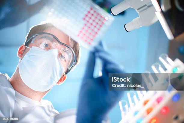 Lab Experiment Stock Photo - Download Image Now - Directly Below, Table, Petri Dish