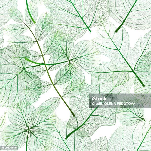 Vein Pattern Seem Less Seamless Pattern With Leaves Veins Vector Illustration Stock ...